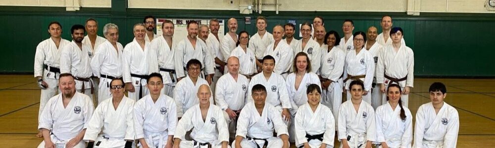 2024 NorCal jiyu kumite clinic